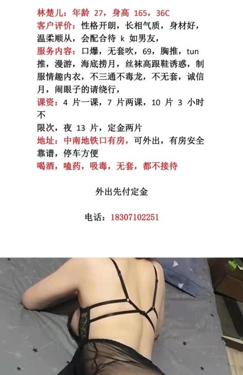 中南服务态度好猪小白